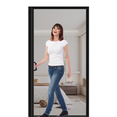 Euli pantaila magnetikoa